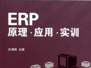 ERP原理與實施