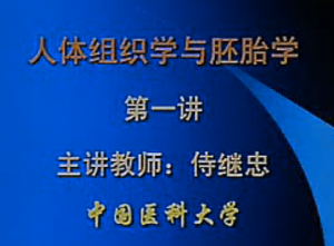 人體組織學與胚胎學