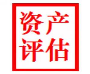 資產(chǎn)評(píng)估